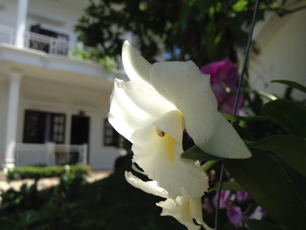 Suncosy Central Hotel Phu Quoc Exterior photo
