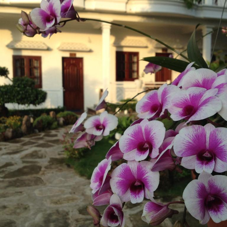 Suncosy Central Hotel Phu Quoc Exterior photo